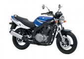 2009 Suzuki GS500 photo